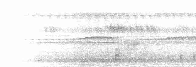 Ötücü Çobanaldatan (nigriscapularis) - ML432923111