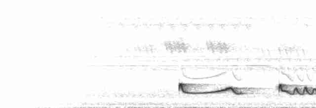 Ötücü Çobanaldatan (nigriscapularis) - ML432923251