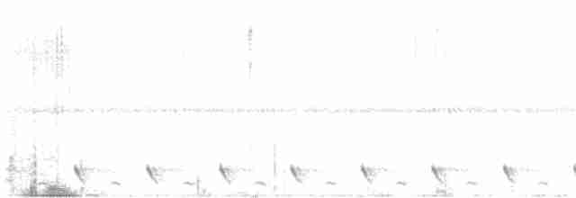 Dschungelnachtschwalbe - ML432994581
