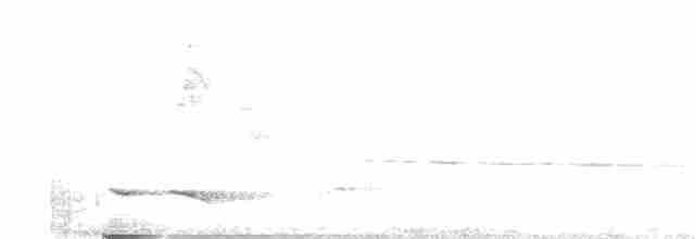 Коструба плямистокрила - ML433096921