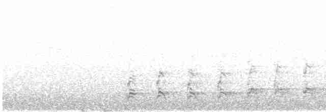 Pygargue à queue blanche - ML433105141