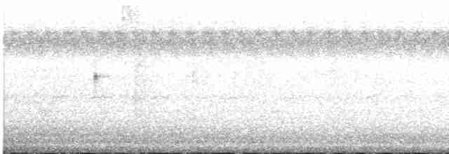 Schwarzstirn-Regenpfeifer - ML433105561