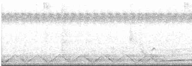 Bar-tailed Godwit - ML433105651