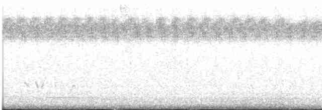 Кулик-сорока довгодзьобий - ML433106791