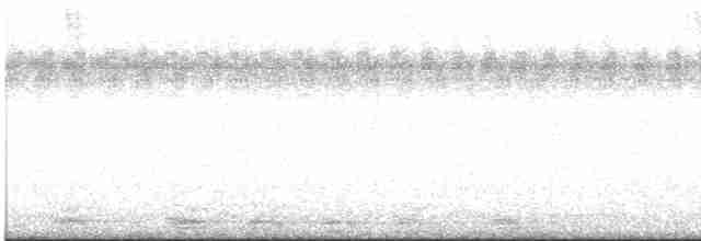 Длинноклювый кулик-сорока - ML433154881