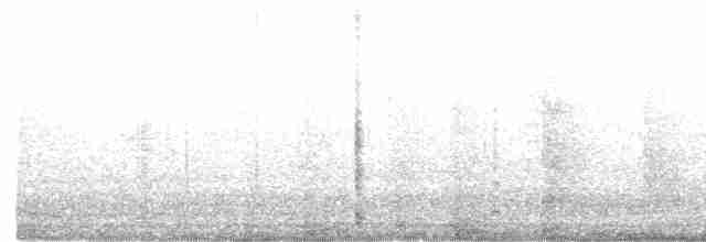 オウム目（インコ科 小さな種） - ML433157281