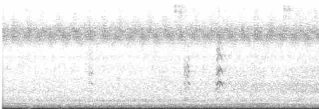 Bar-tailed Godwit - ML433158891