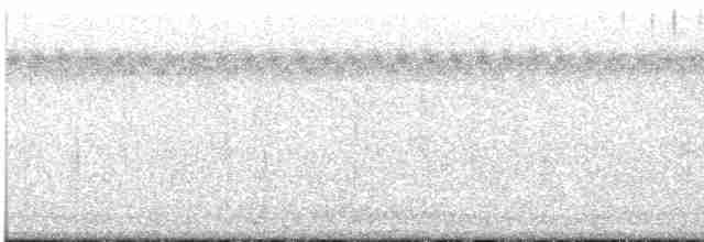 Длинноклювый кулик-сорока - ML433160821