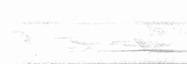 Little Tinamou - ML433229631