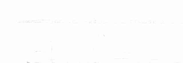 Риджвея сивоголова - ML433230051