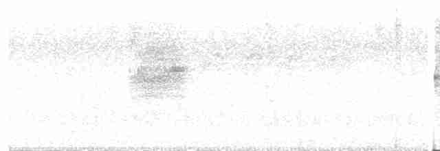 Вилохвістка плямиста - ML433420221