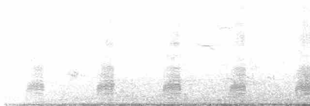 Глазчатая кряква (fulvigula) - ML433465471