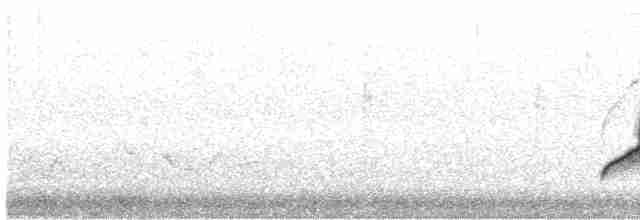 White-eyed Vireo - ML433554811