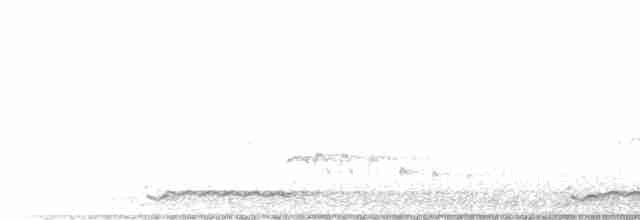 Белоголовый орлан - ML433713081