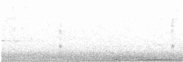 Great Horned Owl - ML433717171