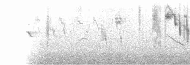 Трав’янка білошия - ML433788121