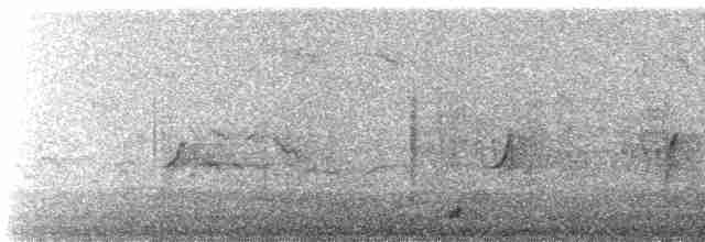 Common Merganser (Eurasian) - ML433826941