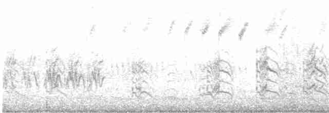 Kara Tepeli Kızkuşu - ML433878941