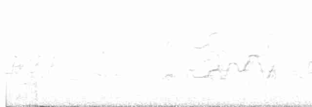 Kara Karınlı Islıkçı Ördek - ML433929521