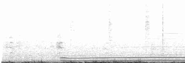 Wedge-tailed Shearwater - ML434231741