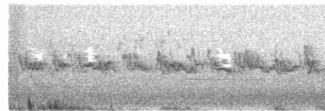 Graumantel-Brillenvogel - ML434252211