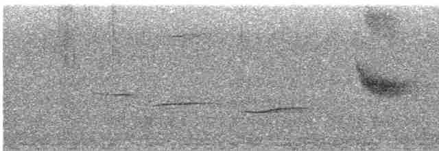 Uzun Gagalı Ardıç - ML434257971