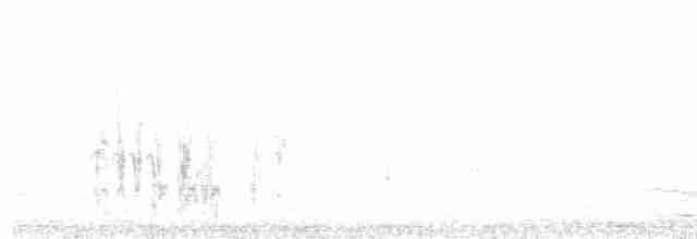 Желтолицый воробьиный попугайчик - ML434322811