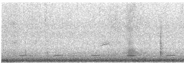 Сичик-горобець гірський (підвид gnoma) - ML434376771