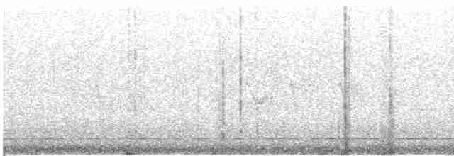 Сичик-горобець гірський (підвид gnoma) - ML434376871