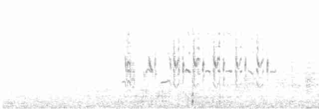 Balearengrasmücke - ML434456531