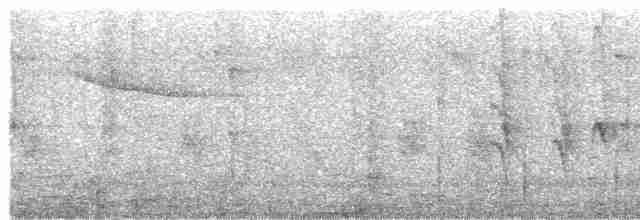 Kırmızı Gagalı Arapbülbülü [leucocephalus grubu] - ML434481771