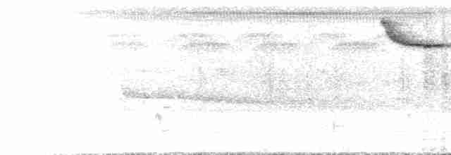 Синьодзьоб чорноголовий - ML434619181