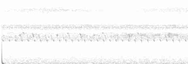 lelek bělohrdlý - ML434804021