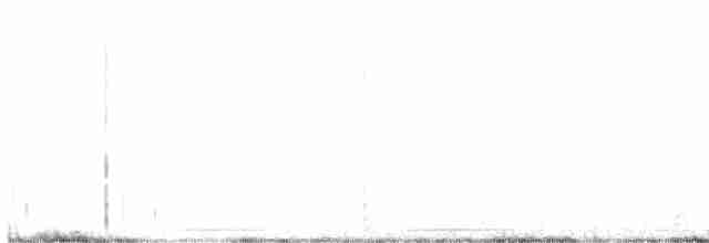 Чінголо блідий [група botterii] - ML434868941