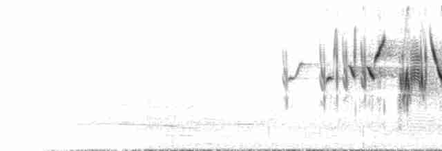 Серогорлая овсянка - ML434968841