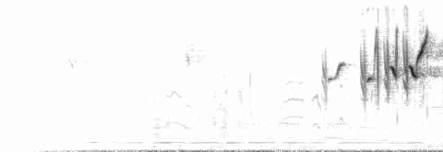 Серогорлая овсянка - ML434968921