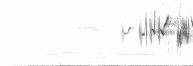 Серогорлая овсянка - ML434969011