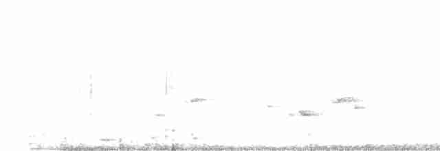 Boz Böğürlü Çalıbülbülü - ML434987171