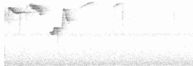 Fulvous-headed Brushfinch - ML435001271