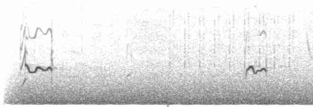 kulík hnědokřídlý - ML435005211