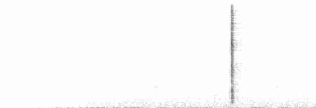Toucan Barbet - ML435072501