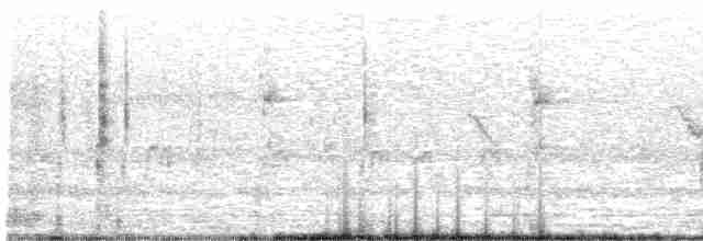 potápka šedohlavá - ML435204351