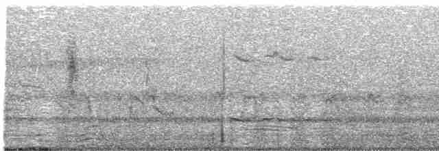 potápka šedohlavá - ML435204361