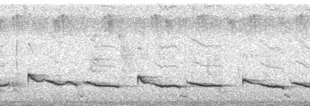 Braunstirn-Brillenvanga - ML43530
