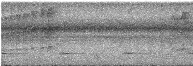 Kara Karınlı Yazılı Ağaçkakan - ML435303391