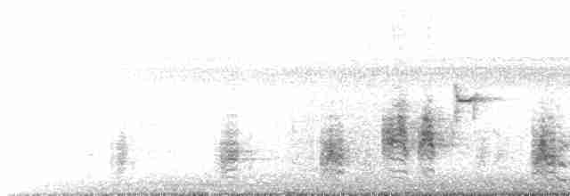 Clamorous Reed Warbler - ML435304911