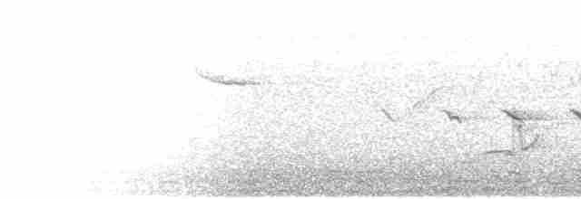 褐鷽(nipalensis群) - ML435307001