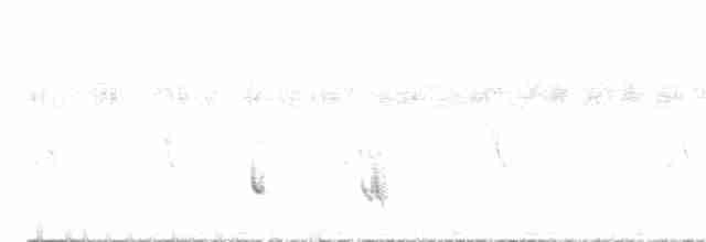 Southern White-fringed Antwren - ML435310711