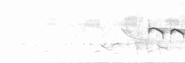 Mercan Kuyruklu Mumgaga - ML435338371