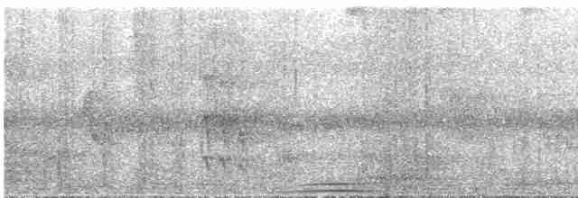 holub šedohlavý - ML435437101